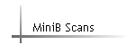 MiniB Scans