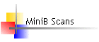 MiniB Scans
